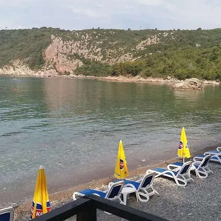 Zecevic *